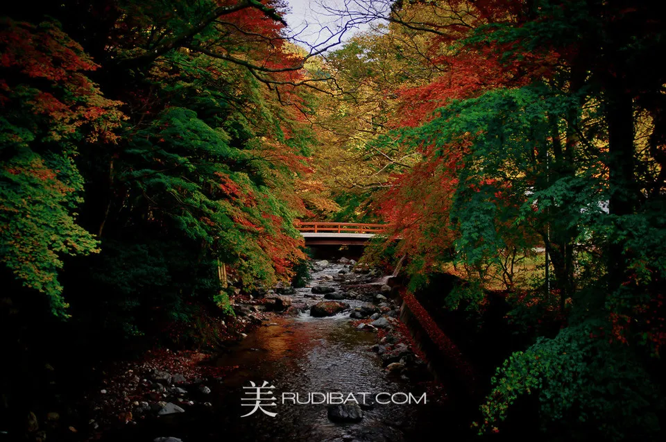 Autumn Creek – Autumn Creek was taken on the way to Kyoto from Tsuraga in the Fukui prefecture Japan.