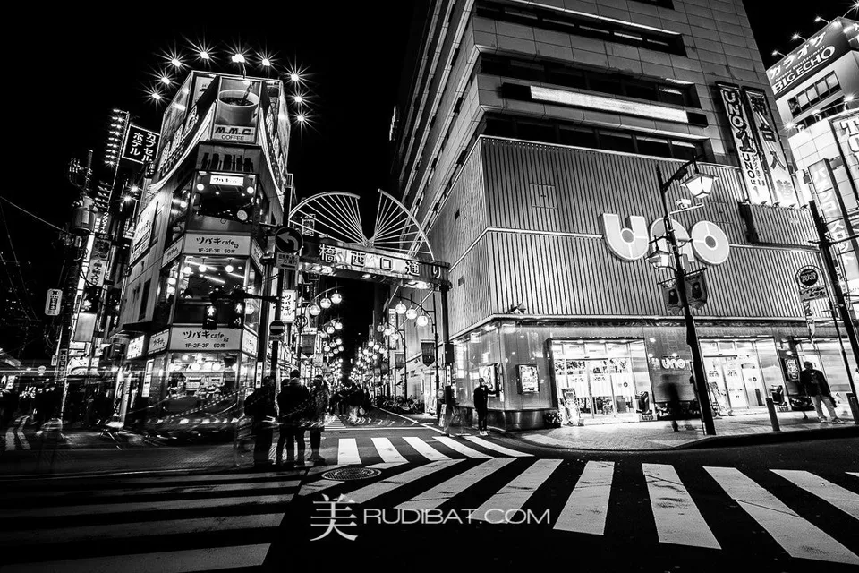 Crossing – Near Shimbashi StationTokyo Japan.