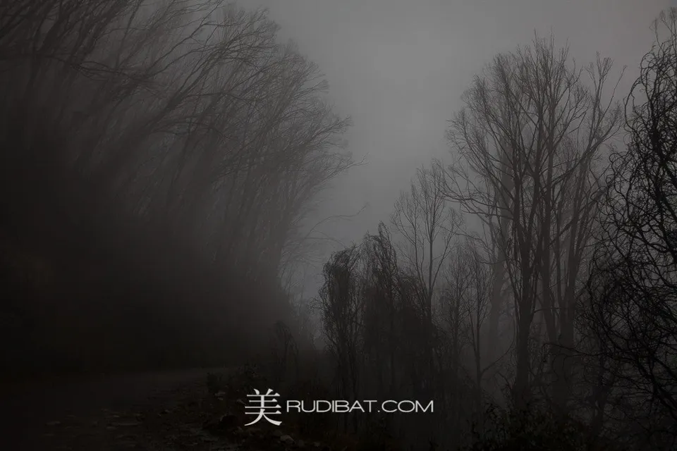 Entry – This is the entry driveway to a old house. Is was so spooky we went no further!