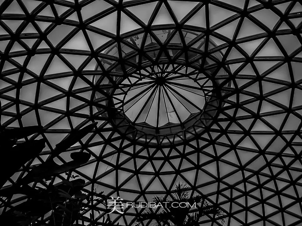 Glass House – Taken at Brisbane Botanical Gardens.