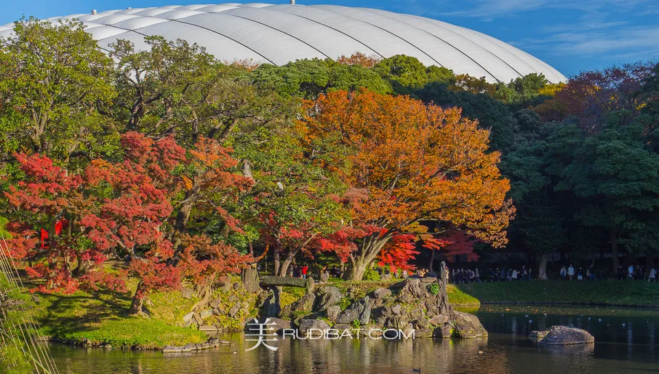 Island – Shrine in Koishikawa Korankuen Gardens Tokyo Autumn 2015