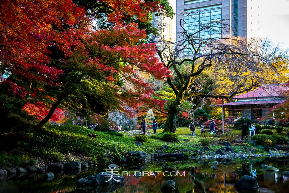 Lake House – In Koishikawa Korankuen Gardens Tokyo Autumn 2015