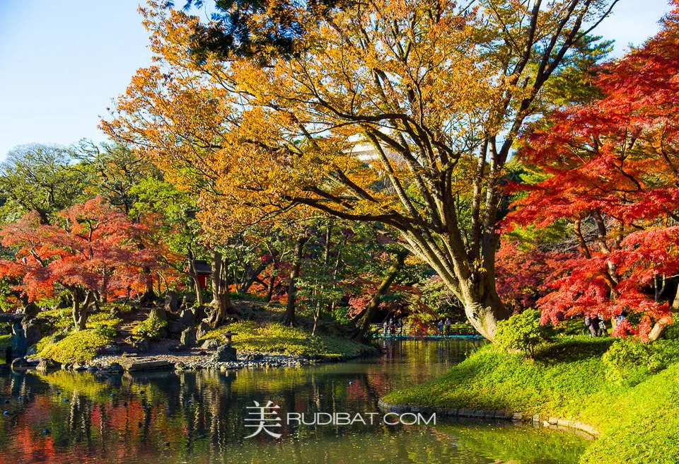Lake View – In Koishikawa Korankuen Gardens Tokyo Autumn 2015