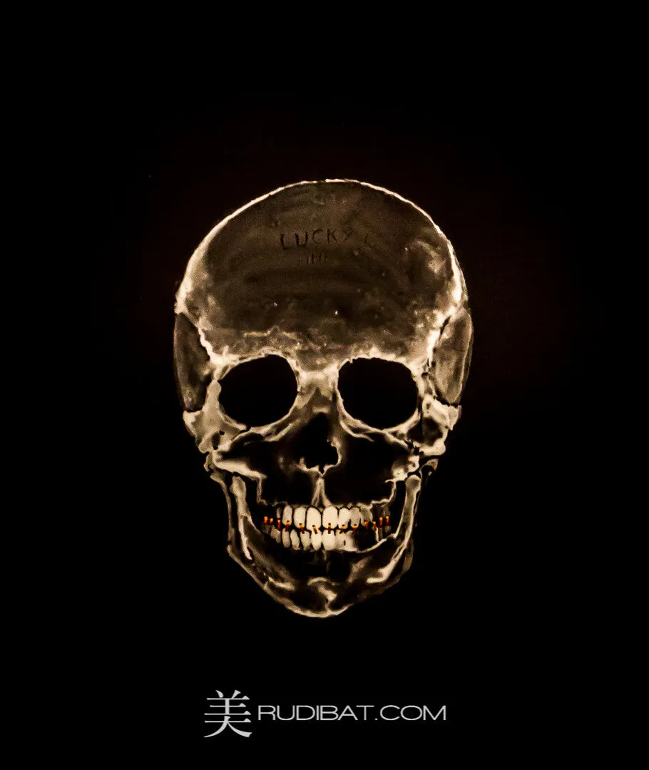 Lucky – Taken at Mona Museum Tasmania. Well Worth a visit.