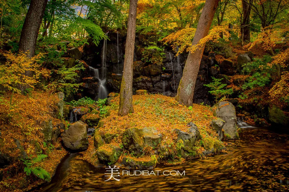 Movement – Gardens near Hokone Japan Autumn 2015