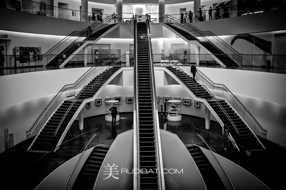 Multi Stair – Amazing Entry stairs at the Fukui Dinosaur Museum