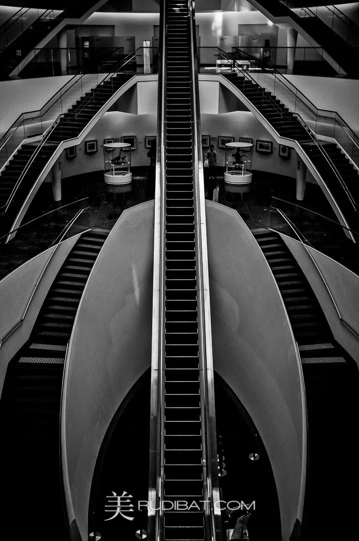 Multi Stair V – MULTI-STAIR- Amazing Entry stairs at the Fukui Dinosaur Museum