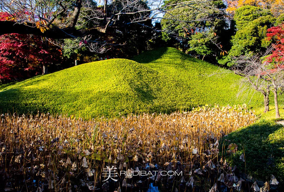Pond – Little Pond in Koishikawa Korankuen Gardens Tokyo Autumn 2015 Reminds me of the Hobbit!!!