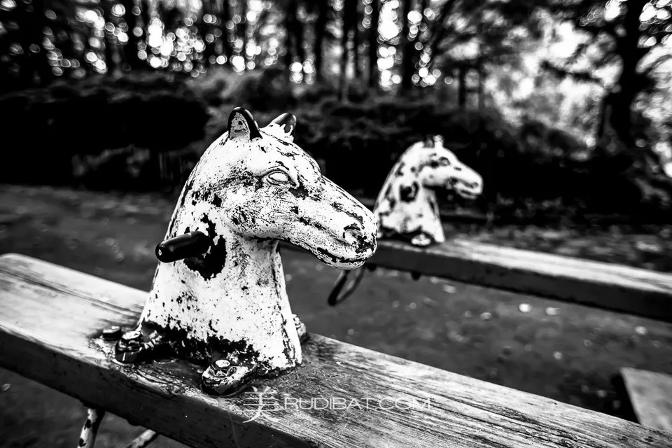 Racing – Last time I saw metal horse heads on a see-saw was 35 years ago in Australia. Very Retro!