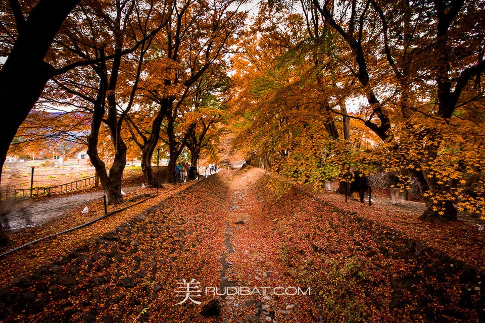 Red Alley – Near the base of Mt Fuji Autumn 2015