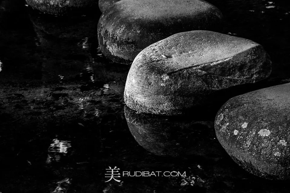 The Stones #3 – Stone Walkway #3 in Koishikawa Korankuen Gardens Tokyo Autumn 2015 I loved these stones in the afternoon light!
