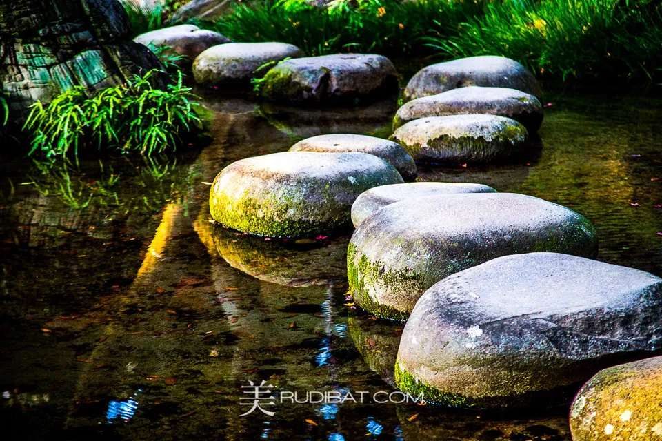 The Stones #6 – Stone Walkway #6 in Koishikawa Korankuen Gardens Tokyo Autumn 2015 I loved these stones in the afternoon light!