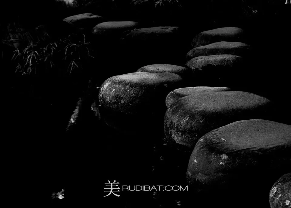 The Stones #7 – Stone Walkway #7 in Koishikawa Korankuen Gardens Tokyo Autumn 2015 I loved these stones in the afternoon light!