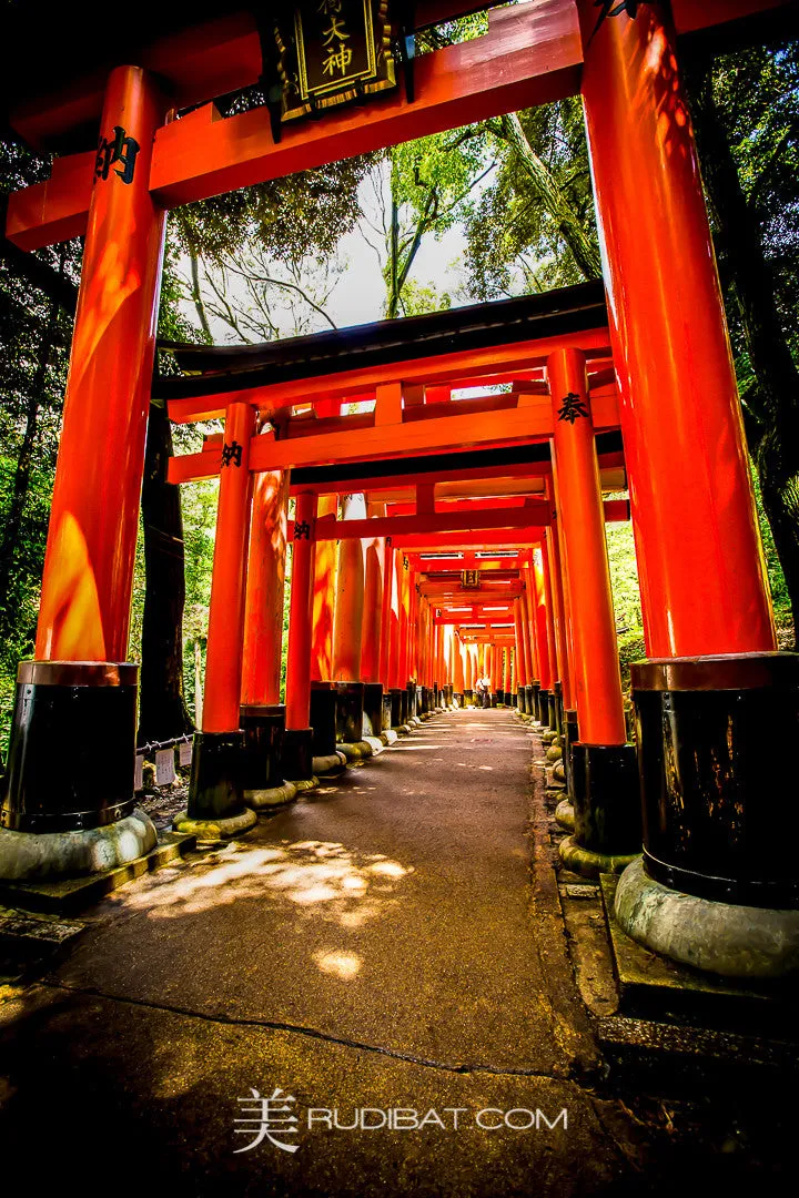 Torii Entry – Line of Torii's at Fushimi Inari Taisha shrine Kyoto Japan.