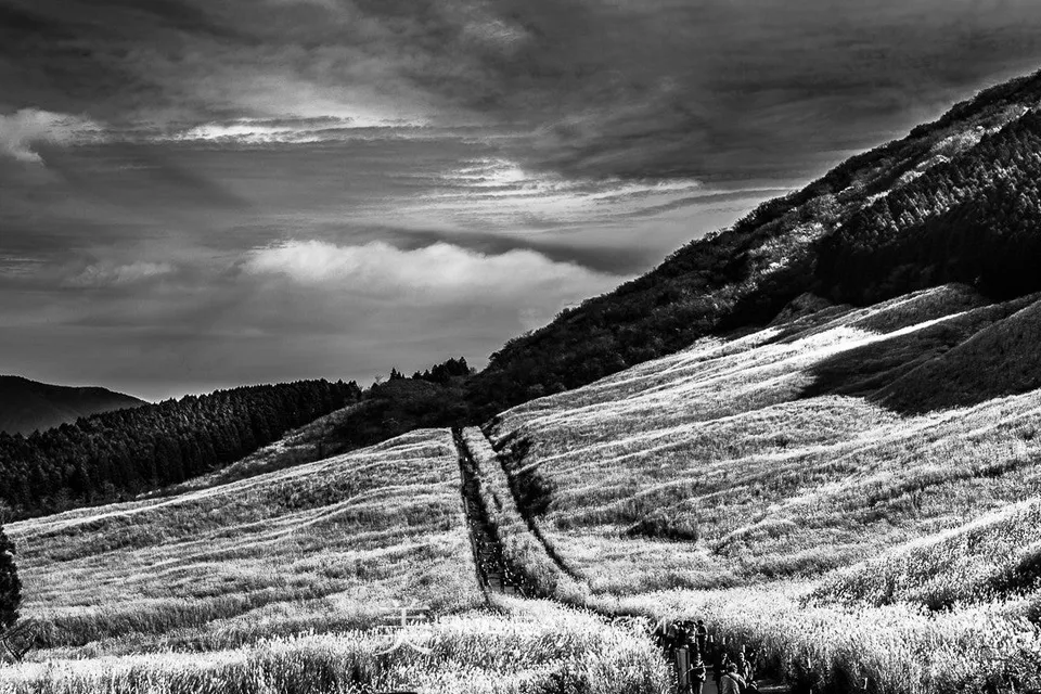 Feild – Amazing near Hokone Autumn 2015