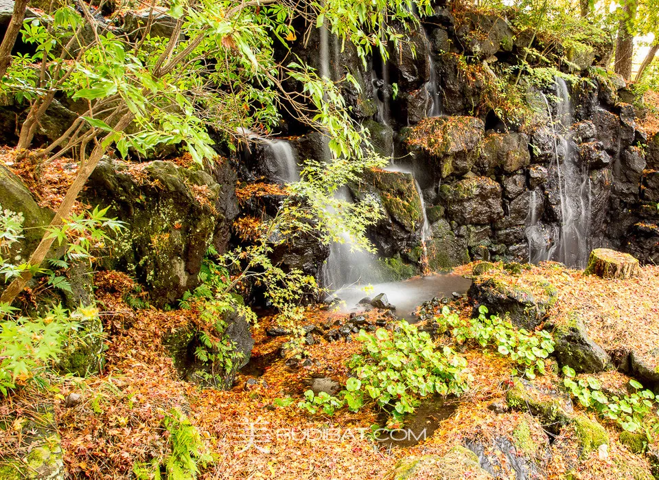 Water Fall – Near Hokone Japan Autumn 2015