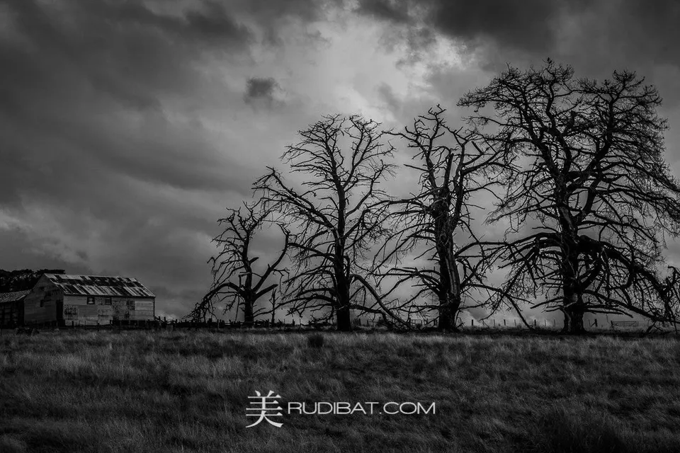 Winter – Old Farm shed in real Victoria Australia