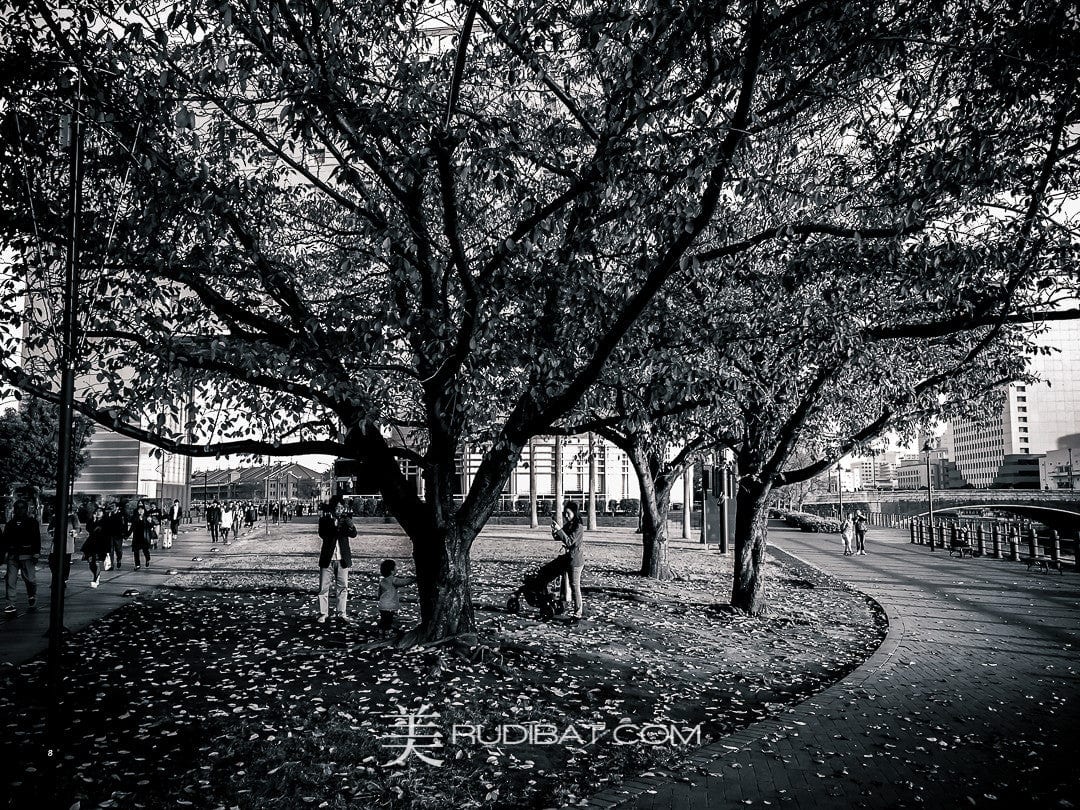 Yokohama Park