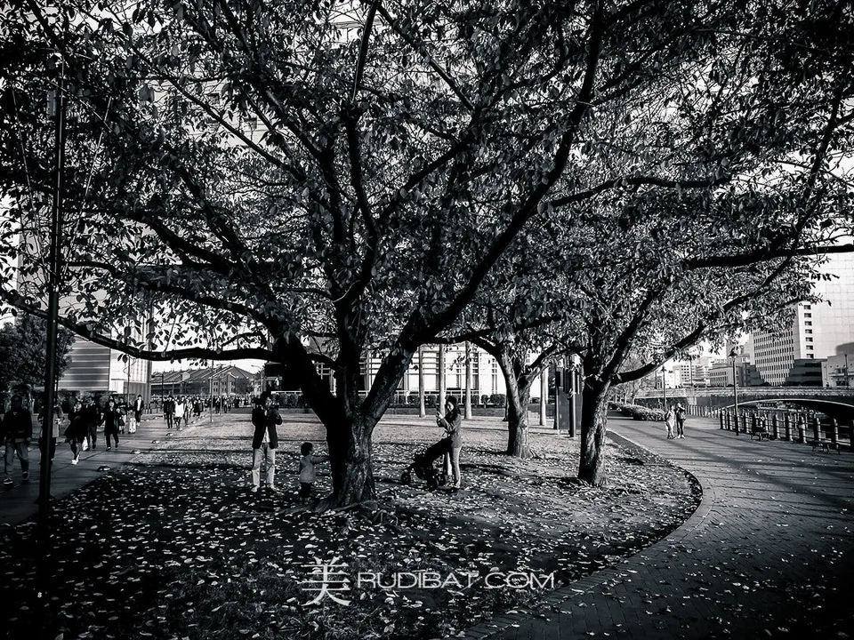Yokohama Park